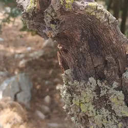 Yokneam Industrial Park - Yokneam Illit