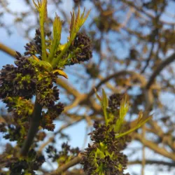 Yokneam Industrial Park - Yokneam Illit