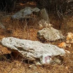 Yokneam Industrial Park - Yokneam Illit