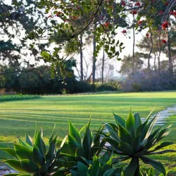 Ramat Hanadiv Gardens and Nature Park - Zikhron Ya'akov