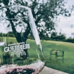 Local Wineries and Vineyards - Acqualagna PU