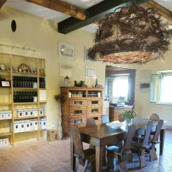 Local Wineries and Vineyards - Acqualagna PU