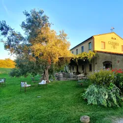 Local Wineries and Vineyards - Acqualagna PU