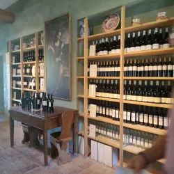 Local Wineries and Vineyards - Acqualagna PU