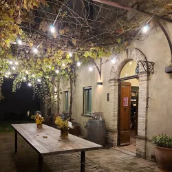 Local Wineries and Vineyards - Acqualagna PU