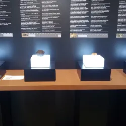 Museo del Tartufo (Truffle Museum) - Acqualagna PU