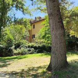 Ponte della Concordia - Acqualagna PU