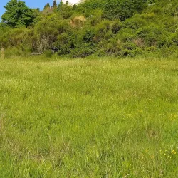 Santuario della Madonna di Val d'Acqua - Acqualagna PU