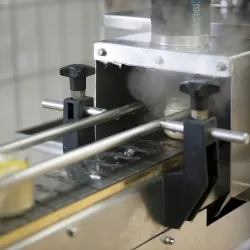 Truffle Market of Acqualagna - Acqualagna PU