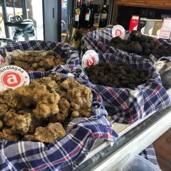 Truffle Market of Acqualagna - Acqualagna PU