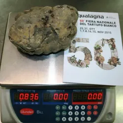 Truffle Market of Acqualagna - Acqualagna PU