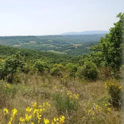 Natural Reserve of Monte Rufeno - Acquapendente