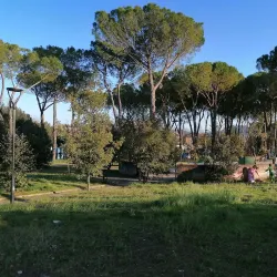 Parco dei Pini - Acquapendente