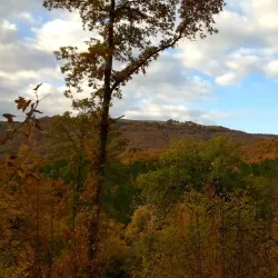 Sanctuary of the Madonna del Fiore - Acquapendente