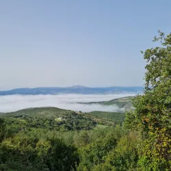Sanctuary of the Madonna del Fiore - Acquapendente