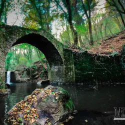 Sanctuary of the Madonna del Fiore - Acquapendente