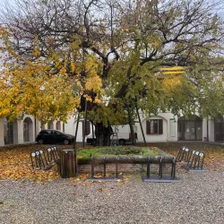 Biblioteca Comunale di Agrate Brianza - Agrate Brianza