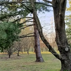 Parco Comunale di Agrate Brianza - Agrate Brianza