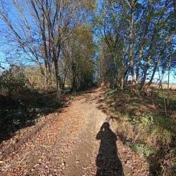 Parco della Cavallera - Agrate Brianza