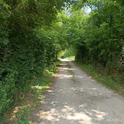 Parco della Cavallera - Agrate Brianza