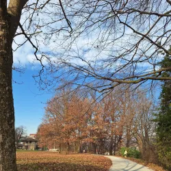 Villa Campello - Agrate Brianza