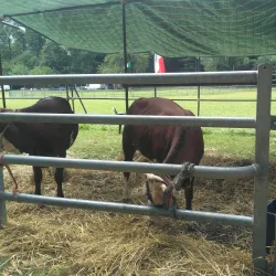 Villa Campello - Agrate Brianza