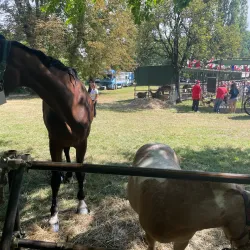 Villa Campello - Agrate Brianza