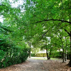 Villa Campello - Agrate Brianza