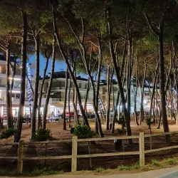 Pineta di Alba Adriatica - Alba Adriatica