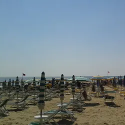 Pineta di Alba Adriatica - Alba Adriatica