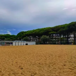 Pineta di Alba Adriatica - Alba Adriatica