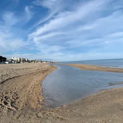 Pineta di Alba Adriatica - Alba Adriatica