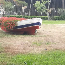 Pineta di Alba Adriatica - Alba Adriatica