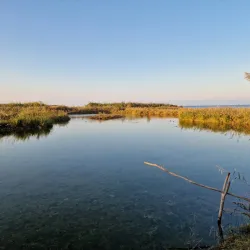 Riserva Naturale Regionale Sentina - Alba Adriatica