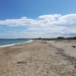 Riserva Naturale Regionale Sentina - Alba Adriatica