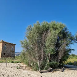 Riserva Naturale Regionale Sentina - Alba Adriatica