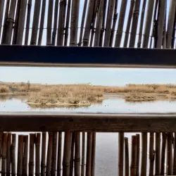 Riserva Naturale Regionale Sentina - Alba Adriatica