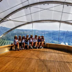 Langhe Vineyards - Alba