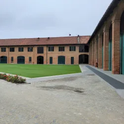 Langhe Vineyards - Alba