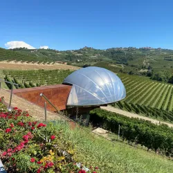 Langhe Vineyards - Alba
