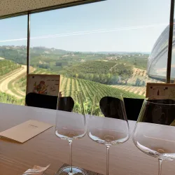 Langhe Vineyards - Alba