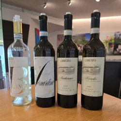 Langhe Vineyards - Alba