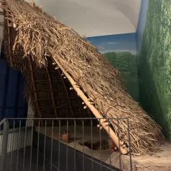 Museo Civico Federico Eusebio - Alba