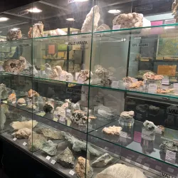 Museo Civico Federico Eusebio - Alba