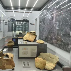 Museo Civico Federico Eusebio - Alba