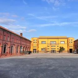 Museo Civico Federico Eusebio - Alba