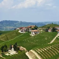 Torre di Barbaresco - Alba