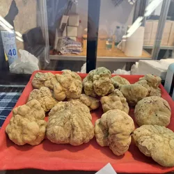Truffle Market and Fair (Fiera Internazionale del Tartufo Bianco d'Alba) - Alba