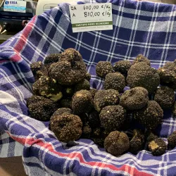 Truffle Market and Fair (Fiera Internazionale del Tartufo Bianco d'Alba) - Alba