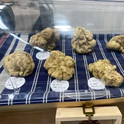 Truffle Market and Fair (Fiera Internazionale del Tartufo Bianco d'Alba) - Alba